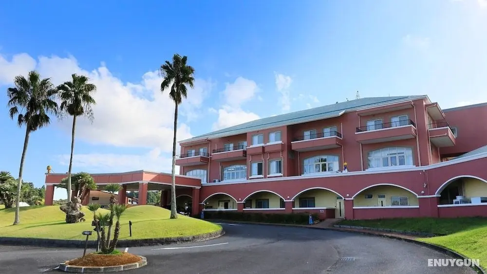 camel hotel resort - Dış Mekan