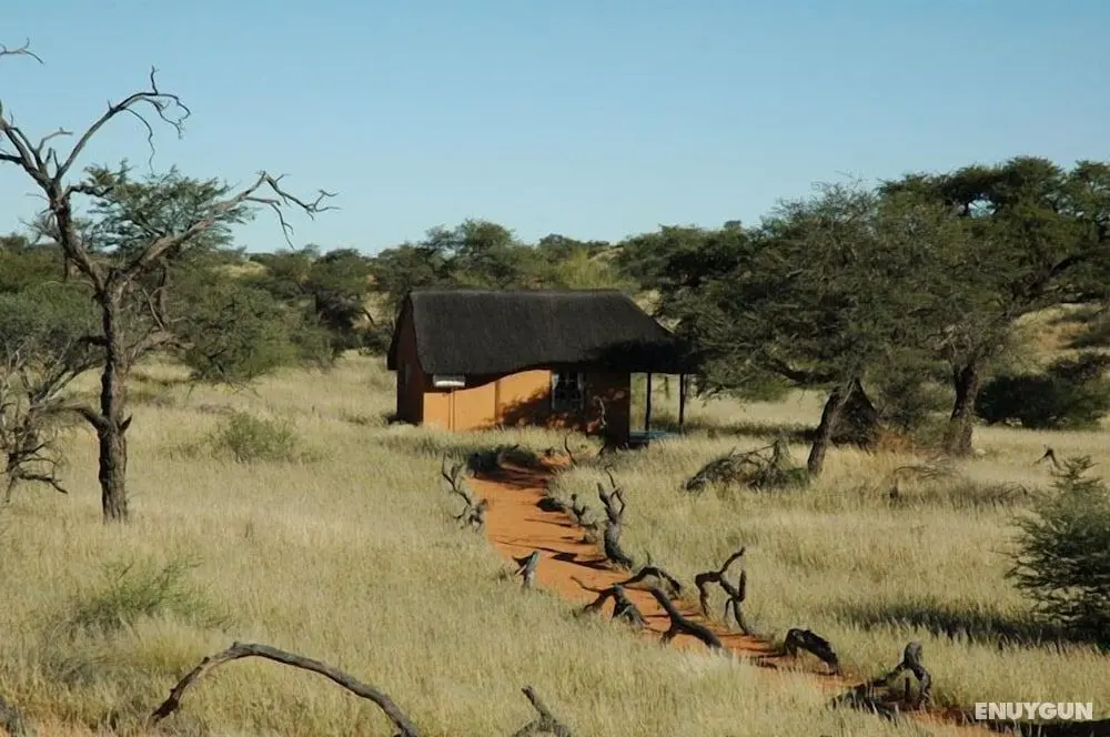Camelthorn Kalahari Lodge - Dış Mekan