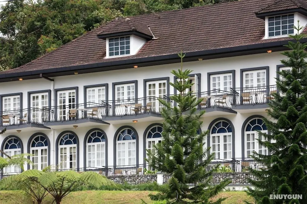 Cameron Highlands Resort - Öne Çıkan Resim