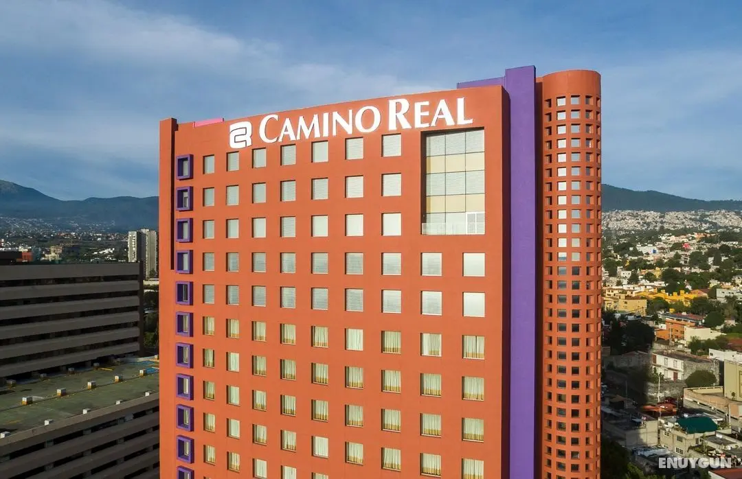 Camino Real Pedregal - Genel