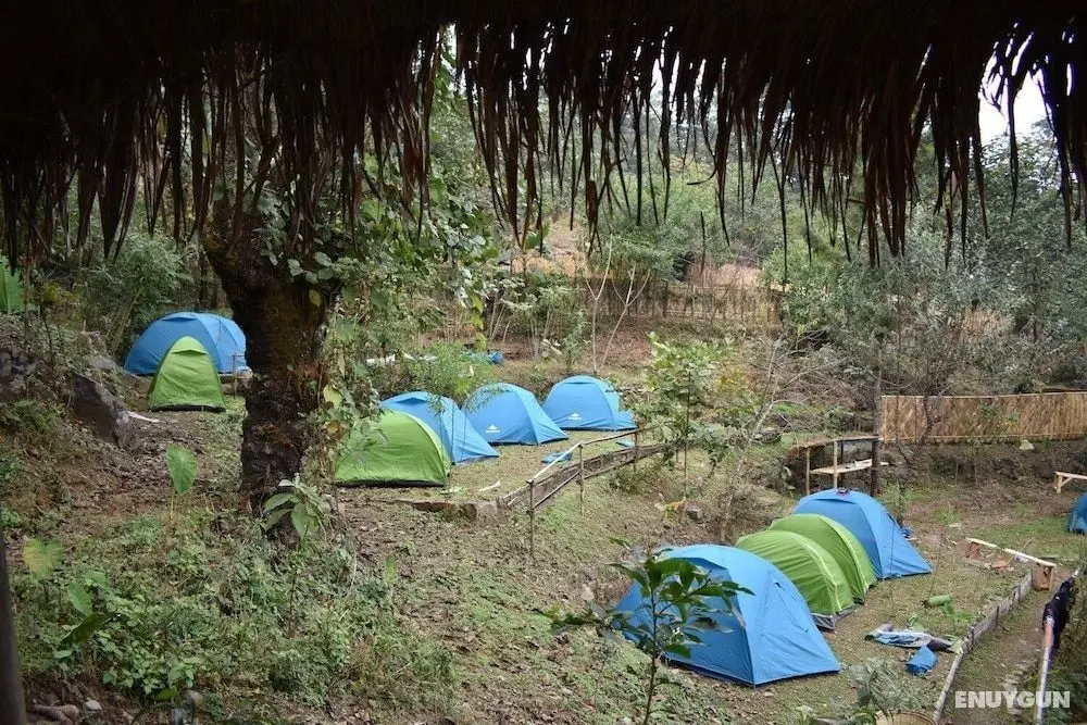 Camp David Kigwema - Oda