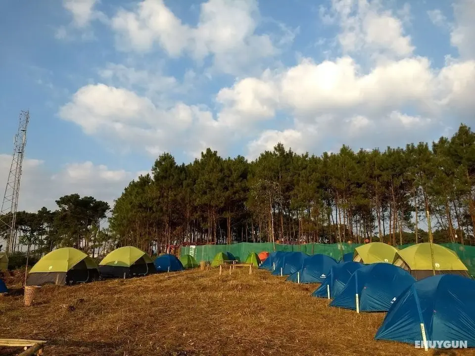 Camp David Kigwema - Öne Çıkan Resim
