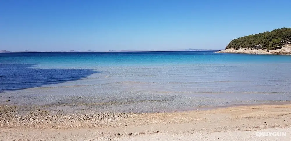 Camp Rehut - Campsite - Öne Çıkan Resim