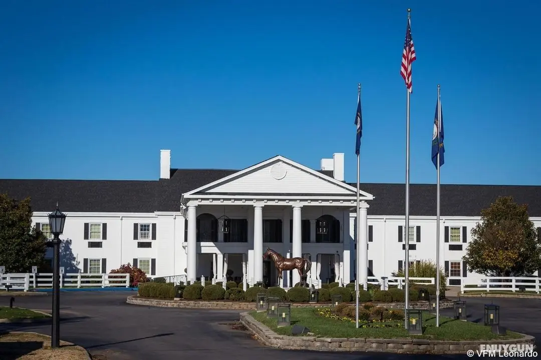 The Campbell House Lexington, Curio Collection - Genel