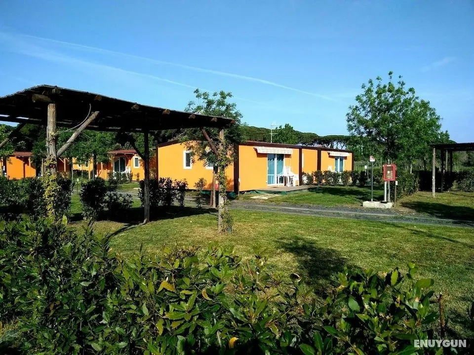 Campeggio Bocca di Cecina - Öne Çıkan Resim