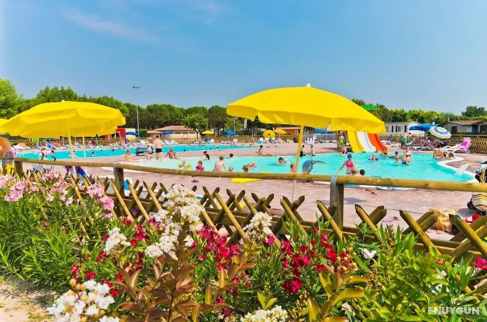 Campeggio del Garda - Öne Çıkan Resim