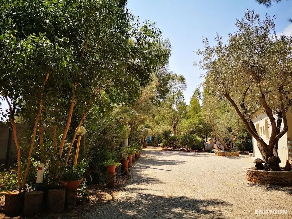 Camping Fico d'India - Öne Çıkan Resim