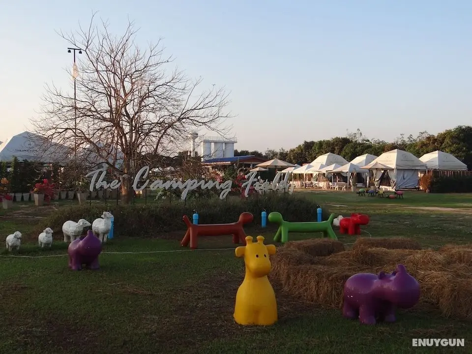 The Camping Field - Öne Çıkan Resim