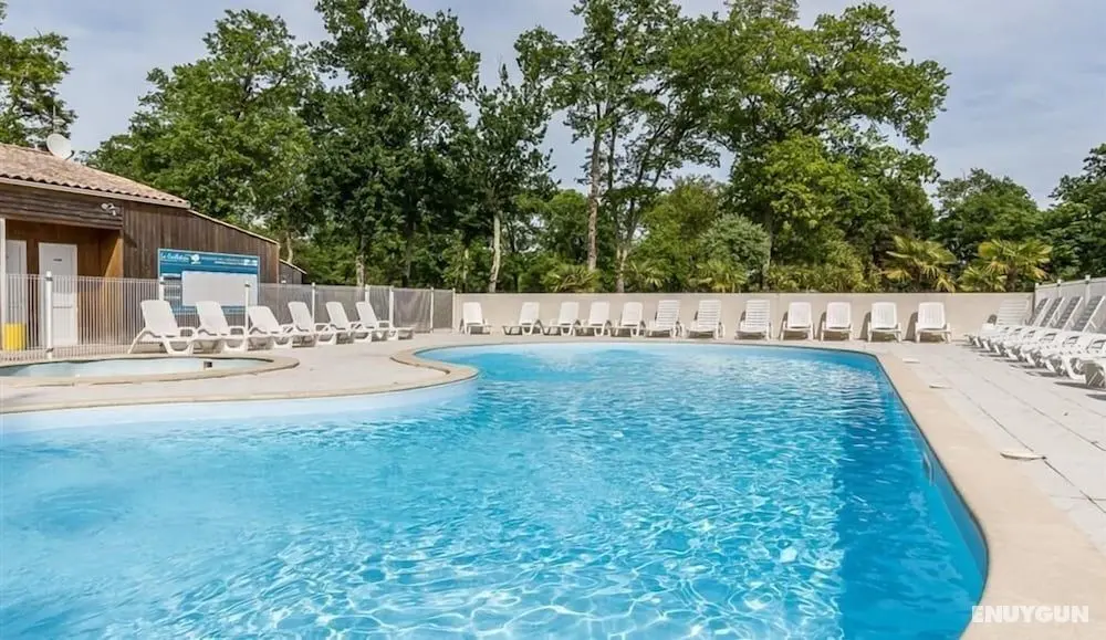 Camping La Cailletiere - Mobil-Home - Öne Çıkan Resim