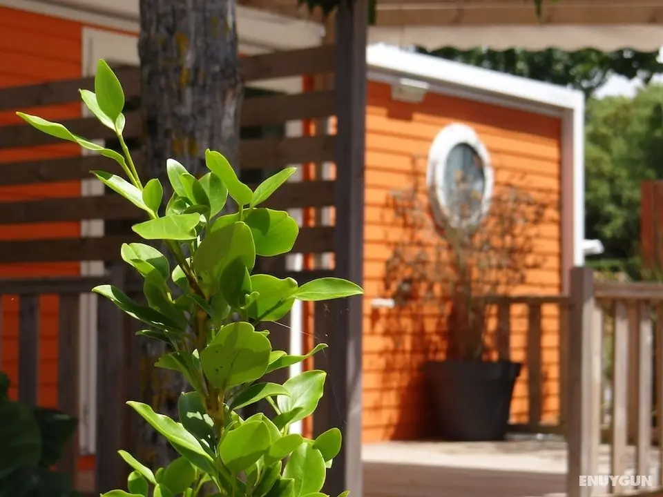 Camping Le Bois Verdon - Dış Mekan