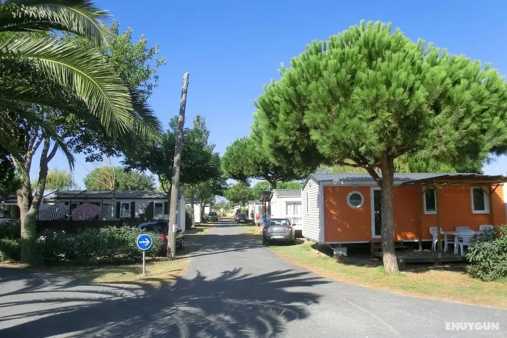 Camping Le Soleil de la Méditerrannée - Öne Çıkan Resim