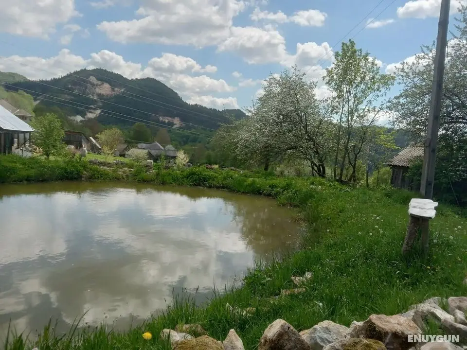 Camping Retreat in a Rural Way - Dış Mekan