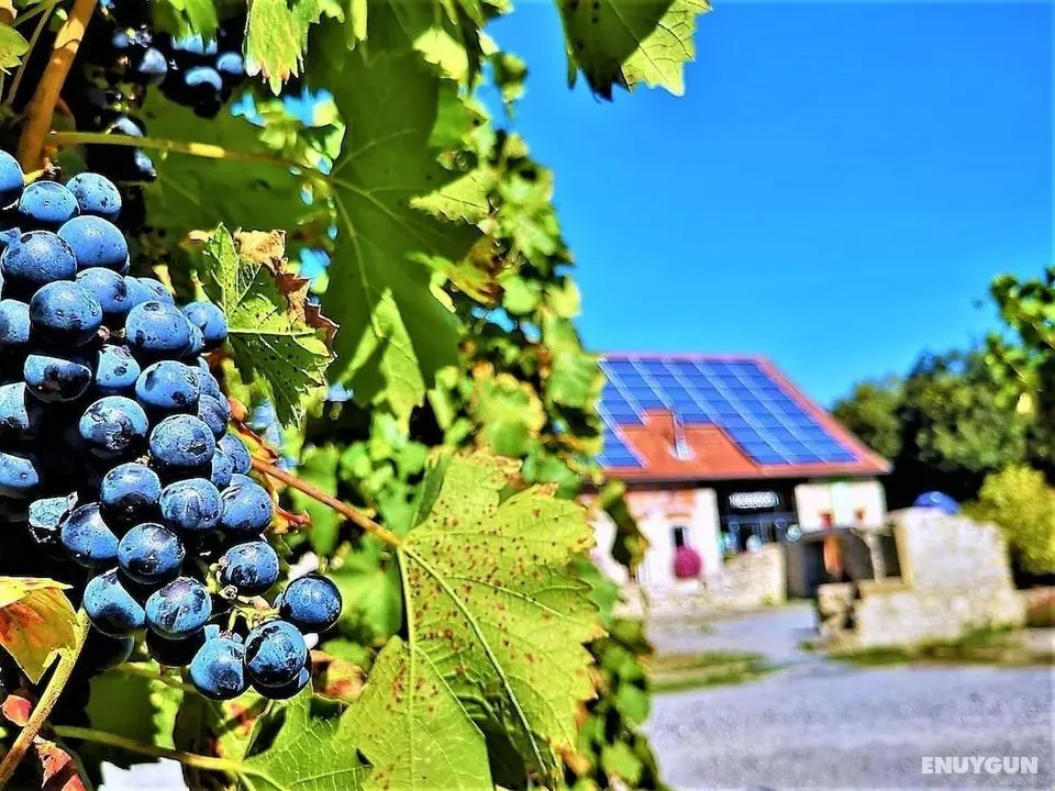 Camping Schwabenmühle - Öne Çıkan Resim