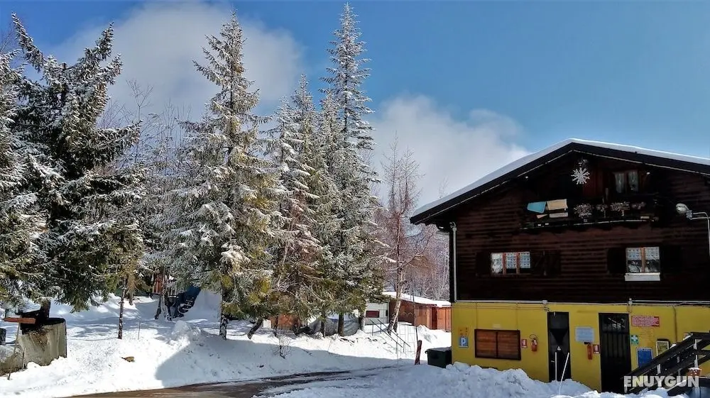 Camping Yoghi e Bubu - Öne Çıkan Resim