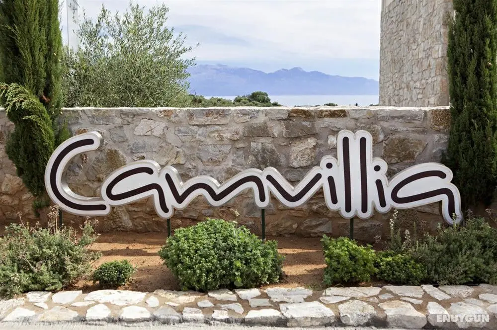 Camvillia - Genel