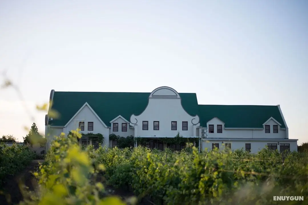 CANA VINEYARD GUESTHOUSE - Öne Çıkan Resim