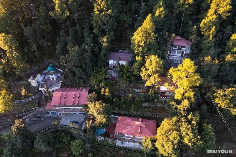 The Canadian Woods Resort - Dış Mekan