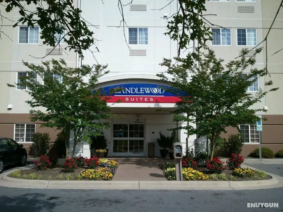 Candlewood Suites Greenville NC - Genel