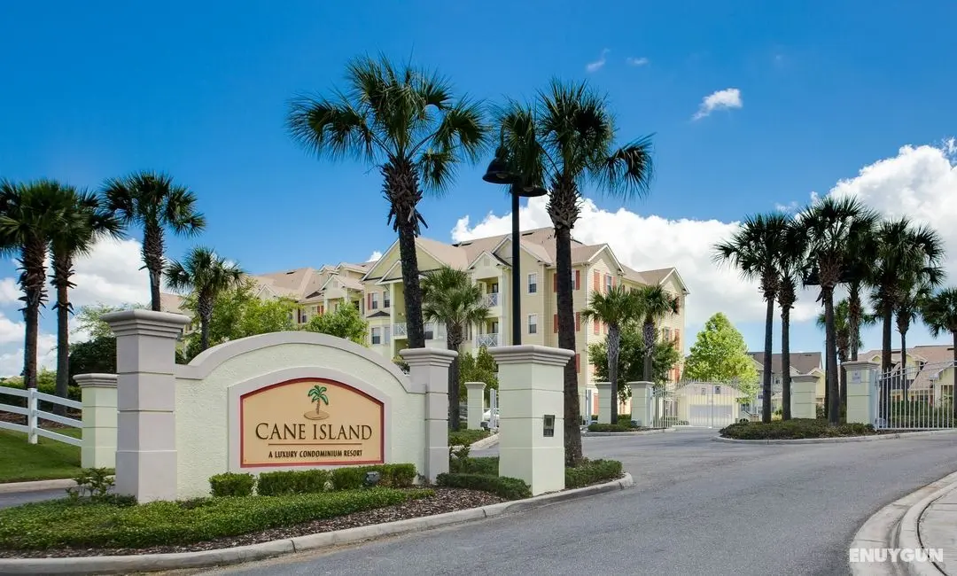 Cane Island - Genel