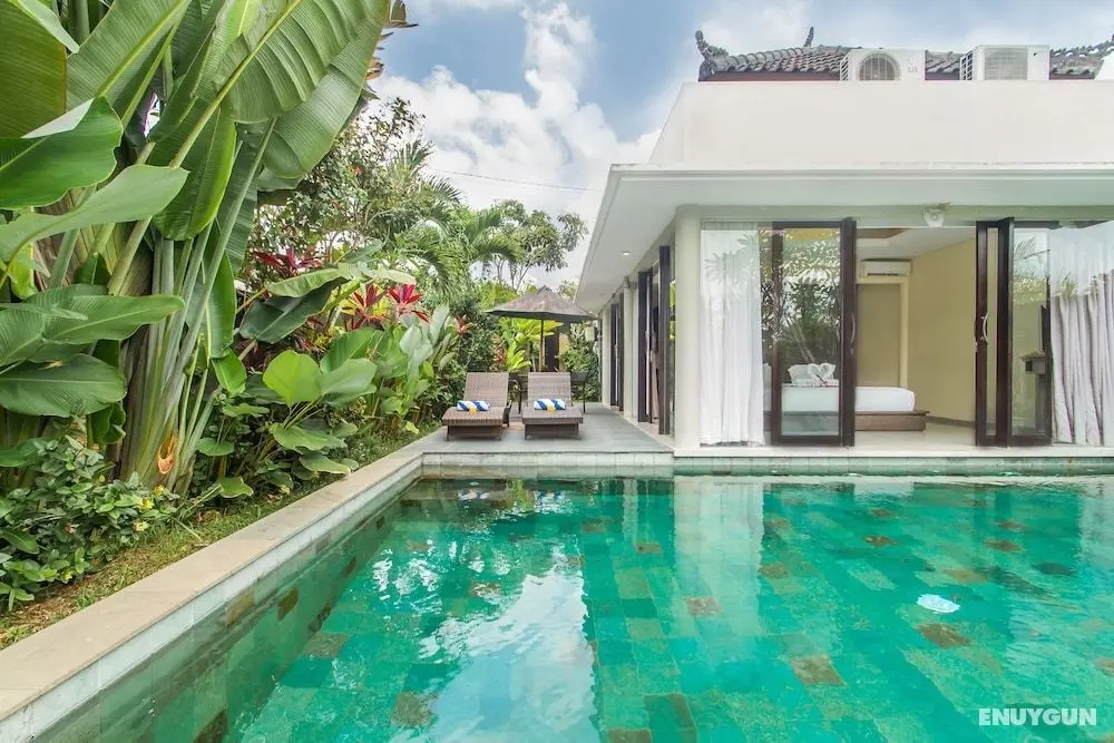 Canikaya Villas Ubud - Öne Çıkan Resim