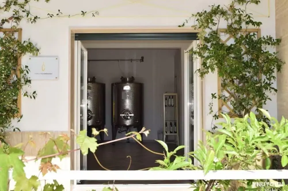 Canneddi Boutique Farm - Şaraphane
