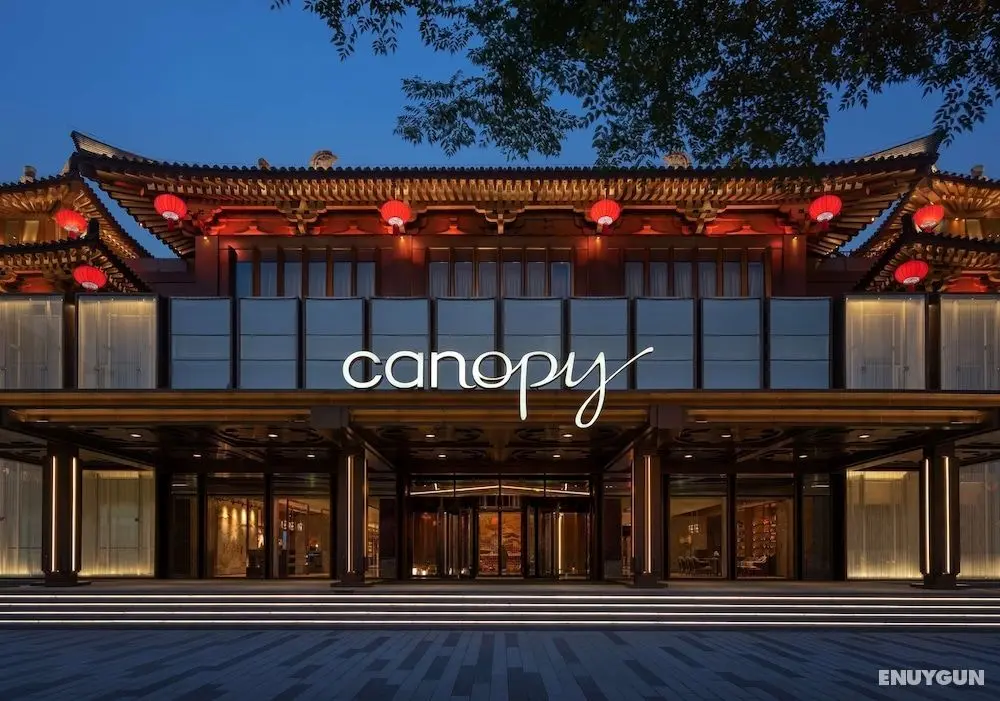 Canopy by Hilton Xi'an Qujiang - Öne Çıkan Resim