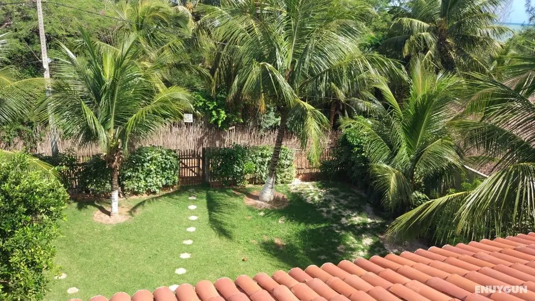 Canto dos Passaros - Genel