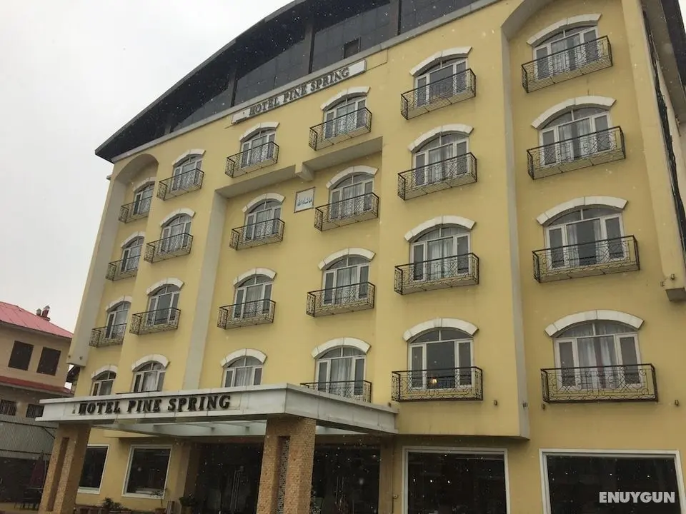 Capital O 9508 Hotel Pine Spring - Dış Mekan