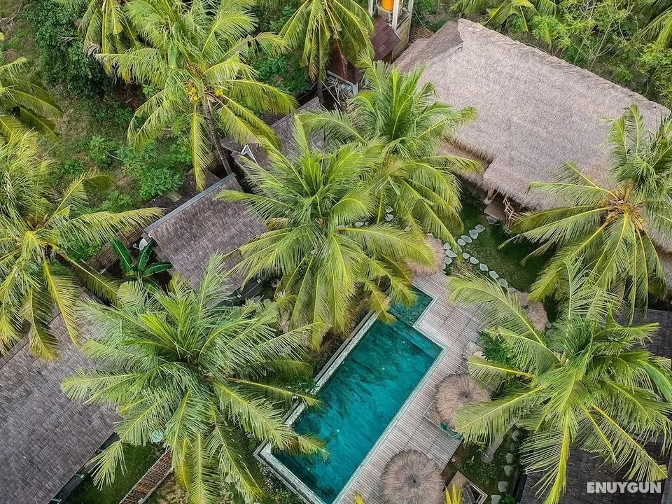 Captain Coconuts Gili Air - Öne Çıkan Resim