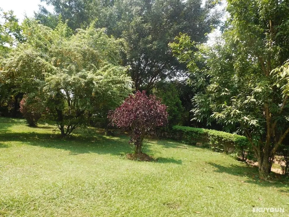 Captivating 2-bed Cottage in Kampala - Dış Mekan