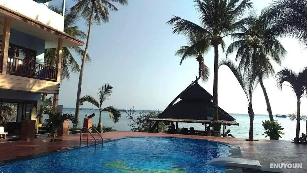 Carabao Diving Koh Tao - Öne Çıkan Resim