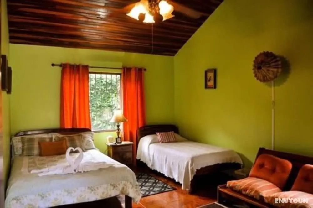 The Cariari Bed and Breakfast - Öne Çıkan Resim