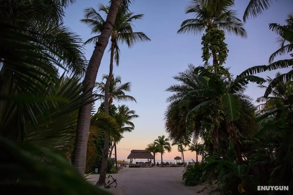 The Caribbean Resort Canary Island Palm North - Dış Mekan