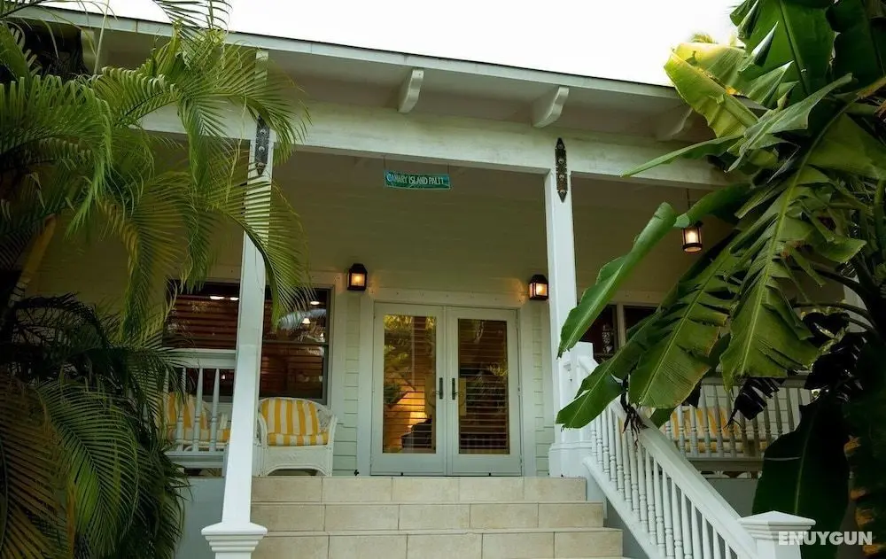 The Caribbean Resort Canary Island Palm North - Öne Çıkan Resim