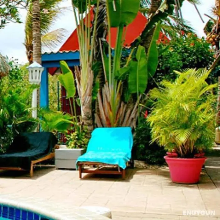 Caribbean Flower Apartments - Dış Mekan