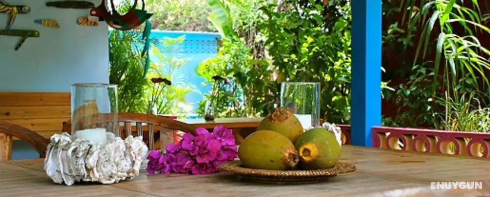 Caribbean Flower Apartments - Öne Çıkan Resim