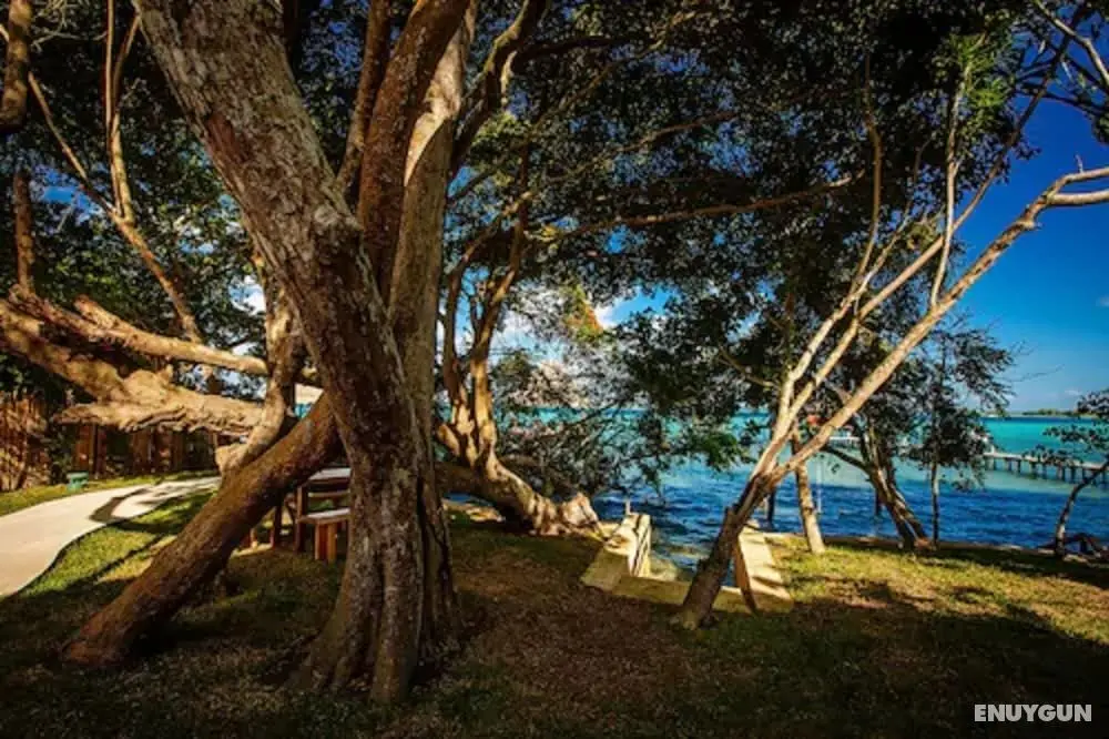 Hotel Carolina Bacalar - Öne Çıkan Resim