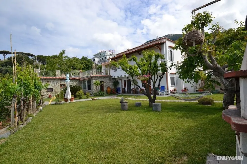 Casa Amena - Öne Çıkan Resim