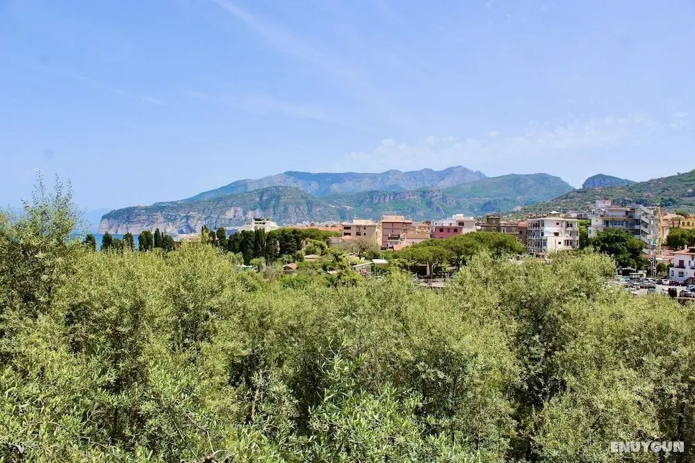 Casa Athena - Oda Düzeni
