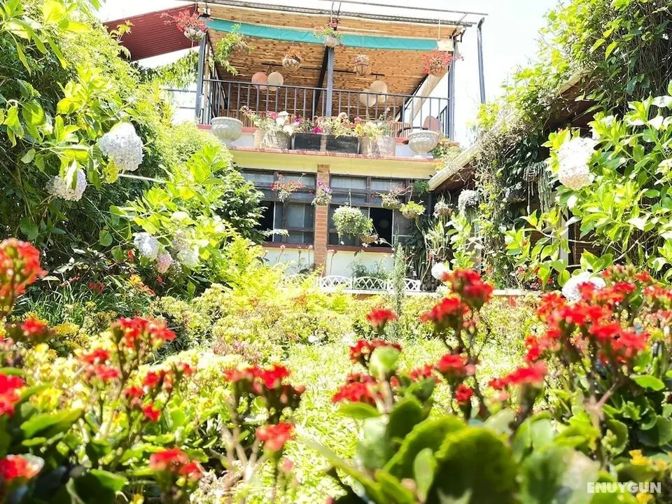 Hotel Casa Chapultepec - Hostel - Öne Çıkan Resim