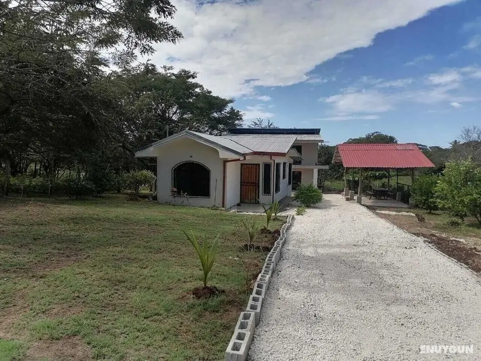 CASA CHIKA - Dış Mekan