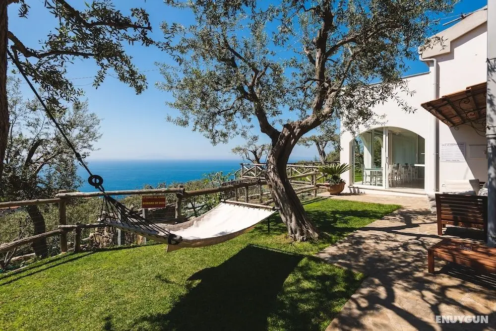 Casa Clementina - Marciano - Öne Çıkan Resim