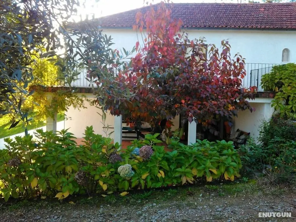Casa com Piscina Barcelos, Izibookings - Dış Mekan