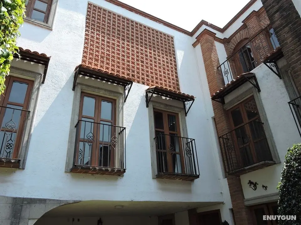 Casa Coyoacan - Dış Mekan