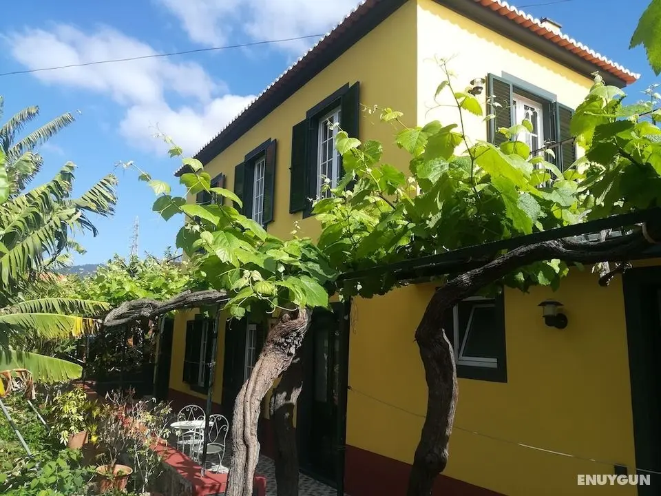 Casa da Avó Celina - Öne Çıkan Resim
