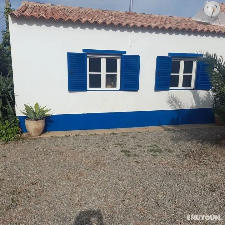 Casa da Vinha - Dış Mekan