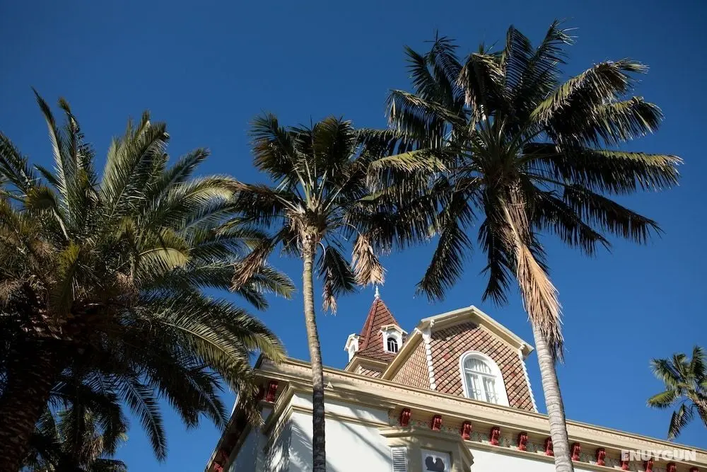 Casa das Palmeiras Charming House Azores - Öne Çıkan Resim