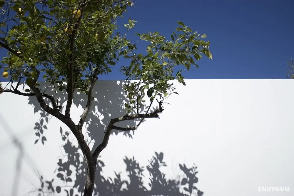 Casa dos Aromas - Dış Mekanlar