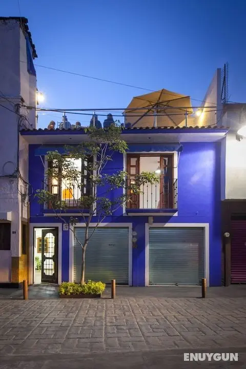 Hotel Casa Frida - Öne Çıkan Resim