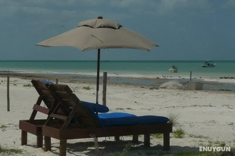 Casa Iguana Holbox - Genel